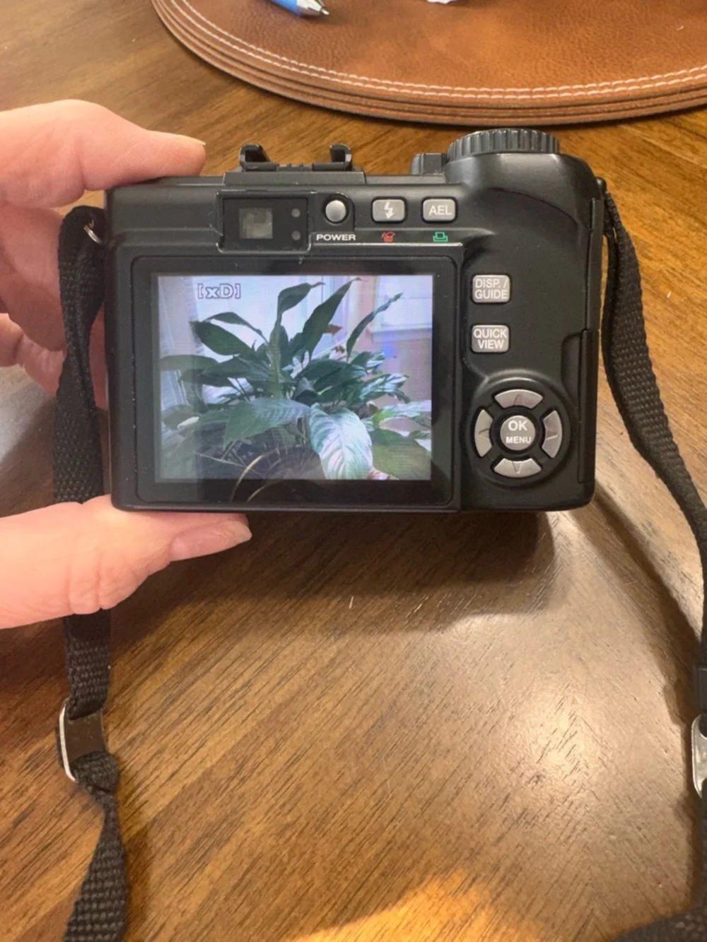 Olympus SP-350 Black Digital Camera